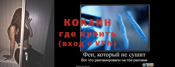 сатива Гусь-Хрустальный