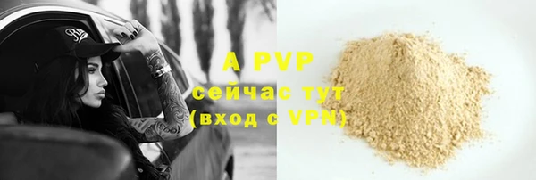 соль ск Гусиноозёрск