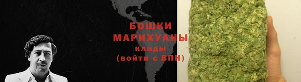 сатива Гусь-Хрустальный