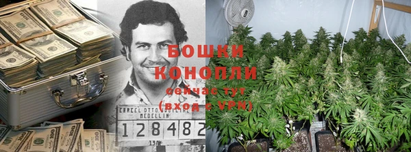 соль ск Гусиноозёрск