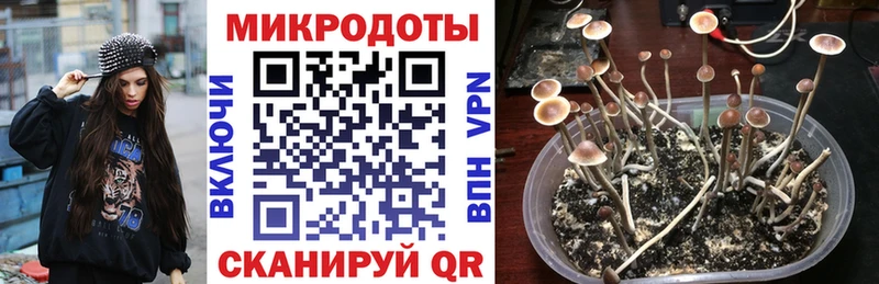 Купить где  Яблоновский  Псилоцибиновые грибы мухоморы 